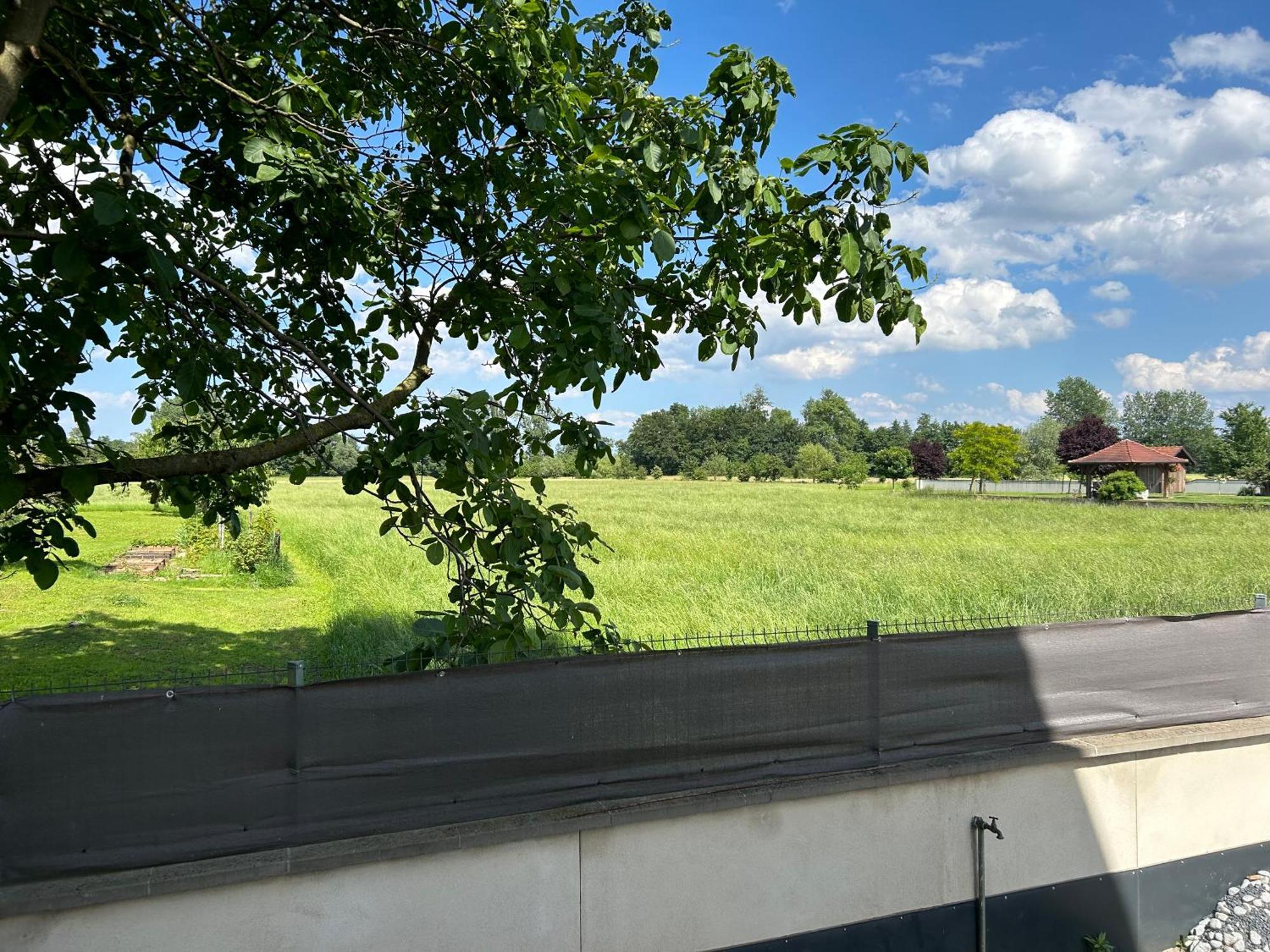 Charmant Studio Avec Terrasse Ebersheim Extérieur photo